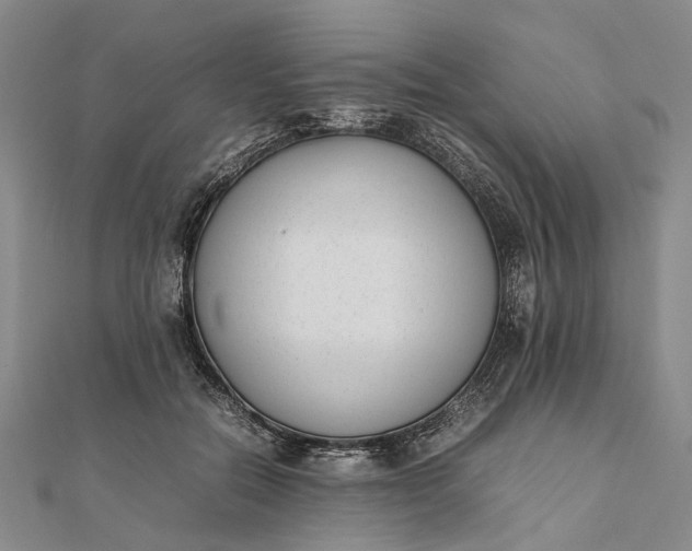 X0000111850554200908061316