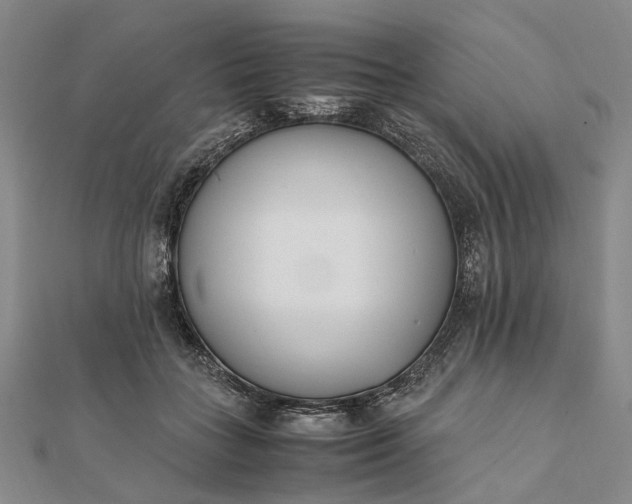 X0000111850555200908061317