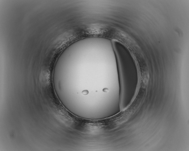 X0000111850556200908061317