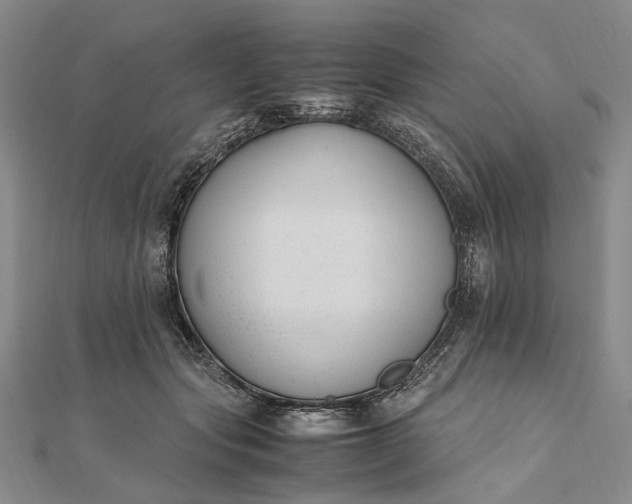 X0000111850557200908061317