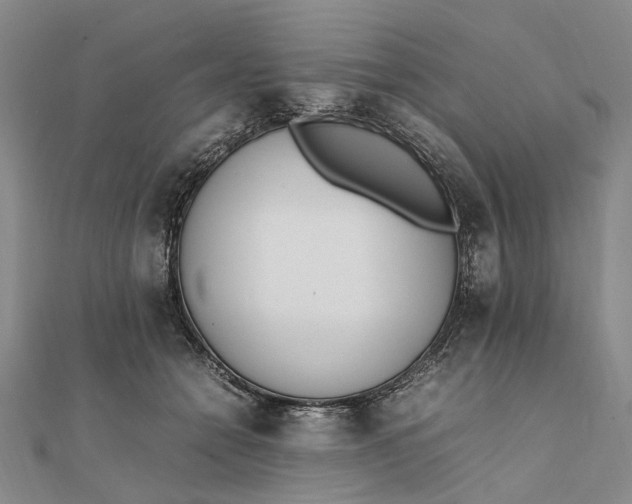 X0000111850558200908061317