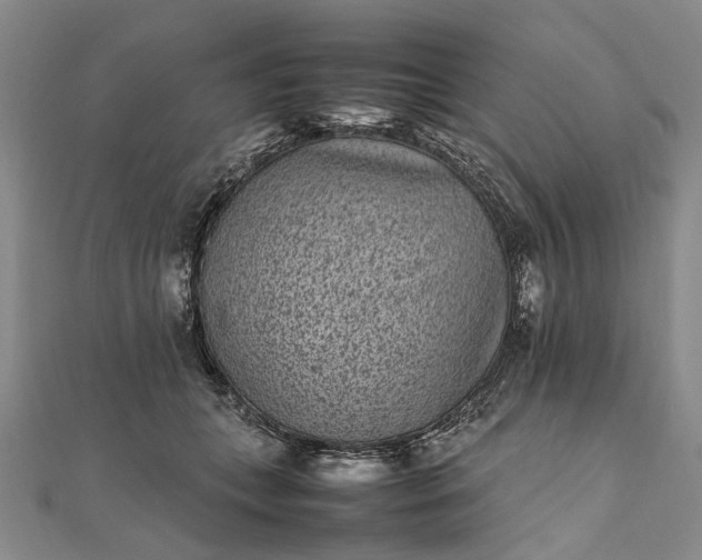 X0000111850559200908061317