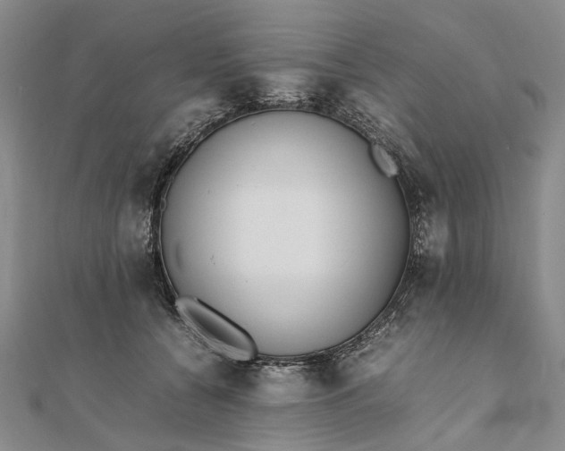 X0000111850560200908061317