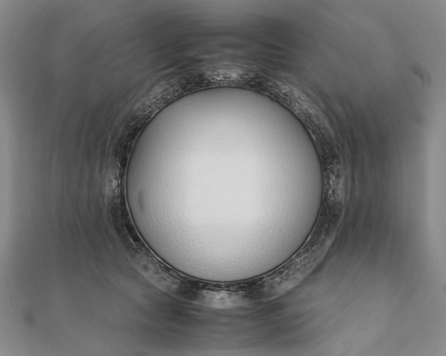 X0000111850561200908061317