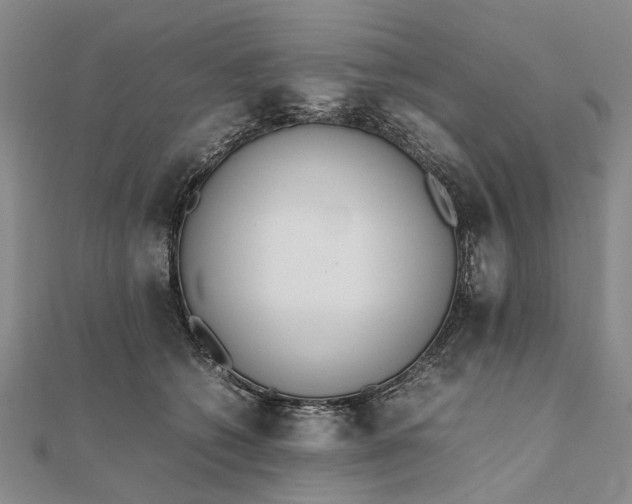 X0000111850562200908061317