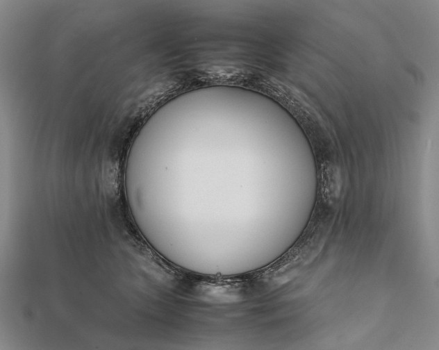 X0000111850563200908061317