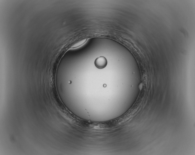 X0000111850564200908061317