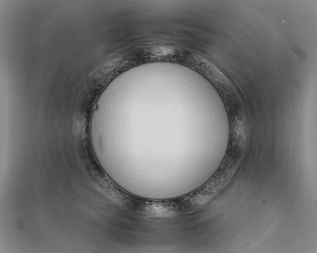 X0000111850565200908061317