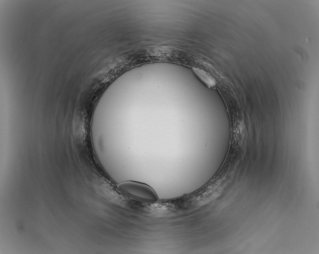 X0000111850566200908061317