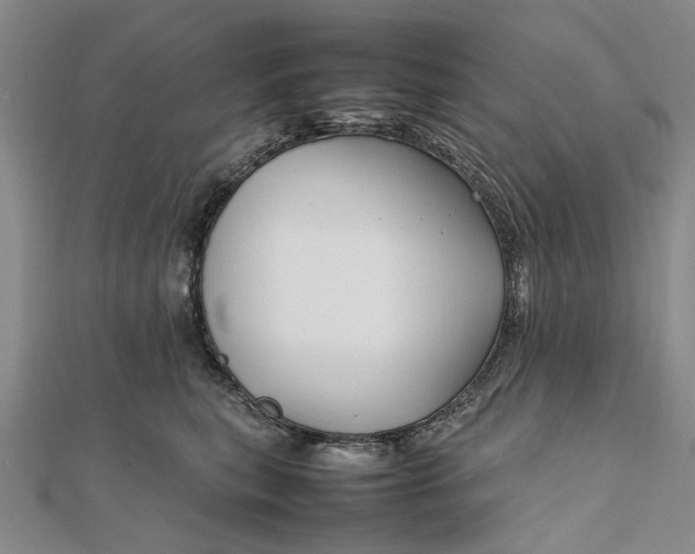 X0000111850567200908061317