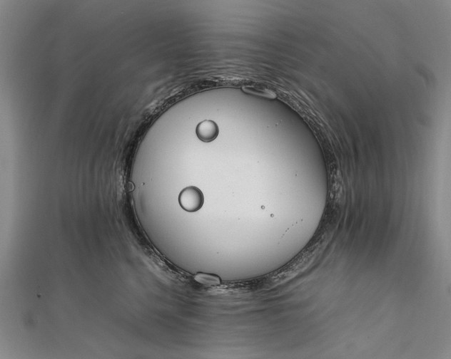 X0000111850568200908061317