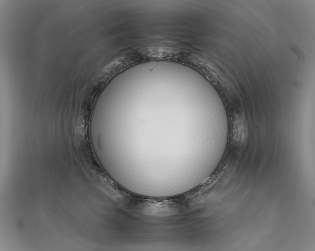 X0000111850569200908061317