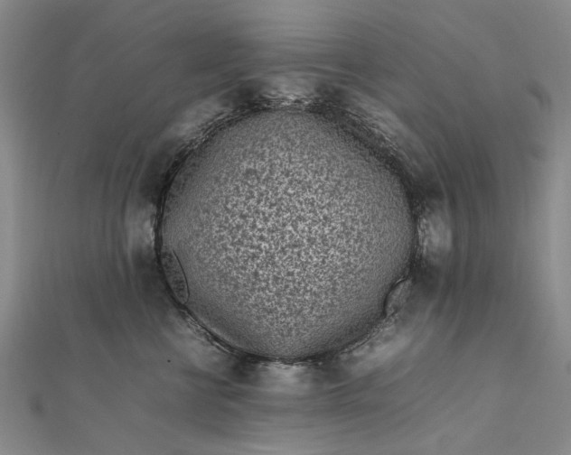 X0000111850570200908061317