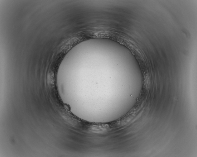 X0000111850571200908061317