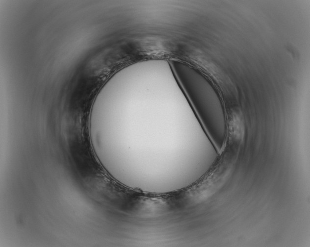 X0000111850572200908061317