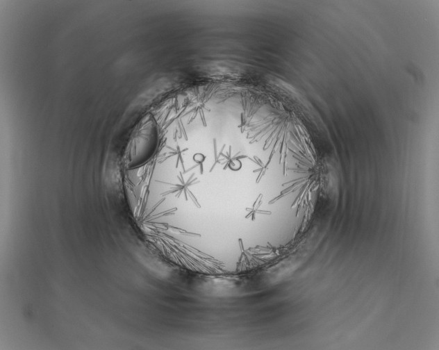 X0000111850573200908061317