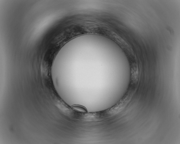 X0000111850574200908061317