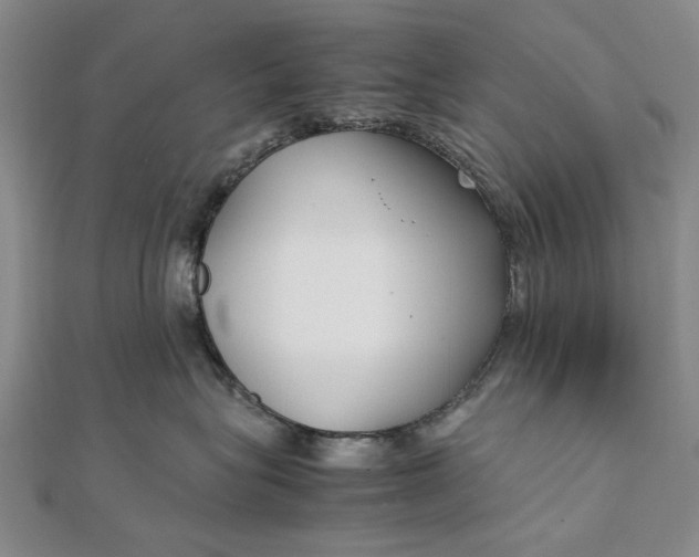 X0000111850575200908061317