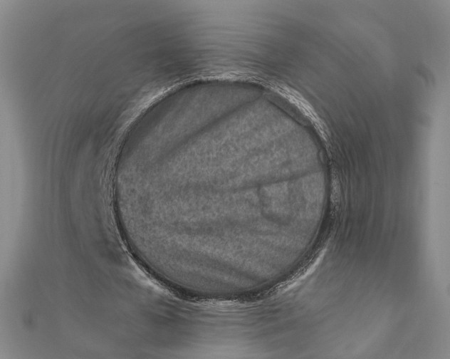 X0000111850577200908061316