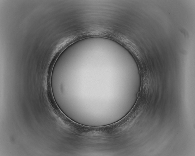 X0000111850578200908061316