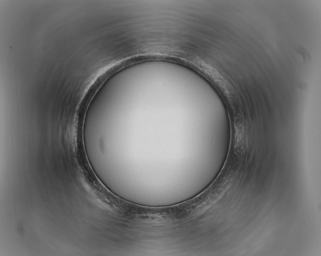 X0000111850580200908061316