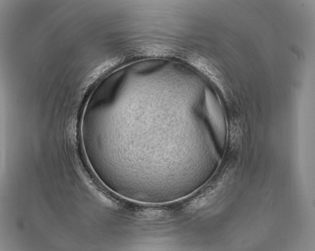 X0000111850581200908061316