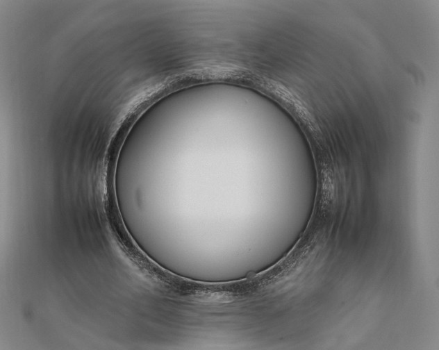 X0000111850582200908061316