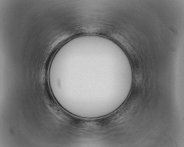 X0000111850583200908061316