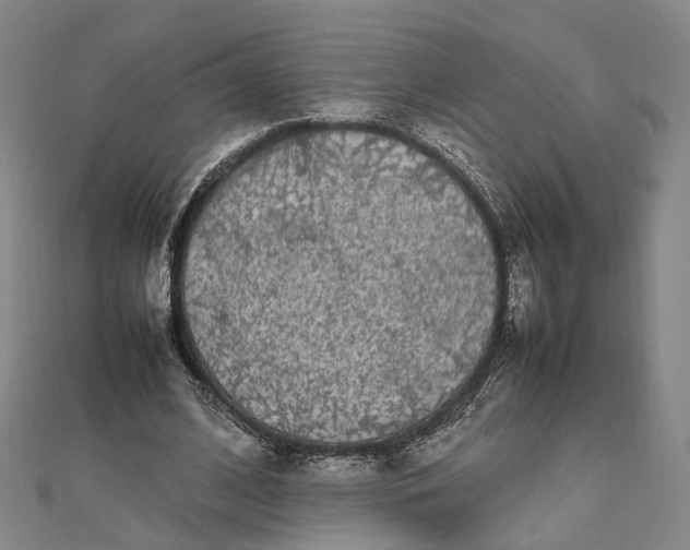 X0000111850584200908061316