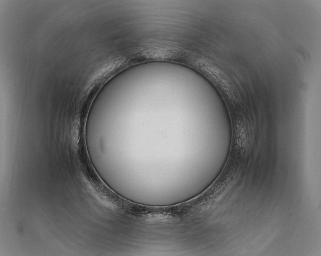 X0000111850586200908061316