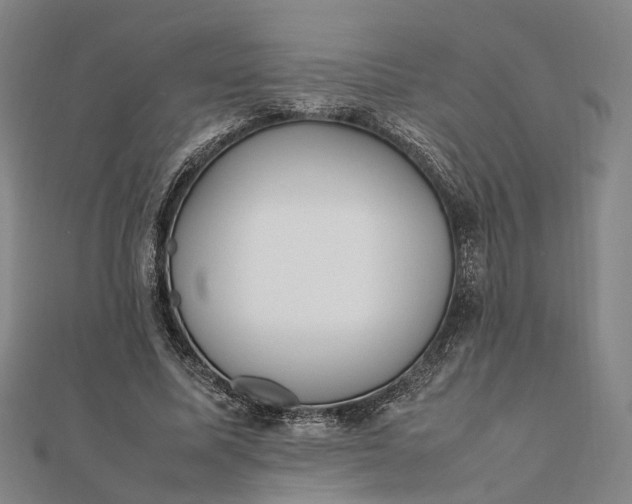 X0000111850587200908061316