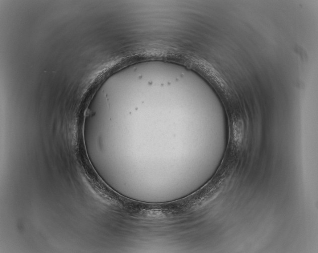 X0000111850588200908061316