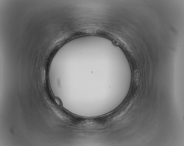 X0000111850589200908061316