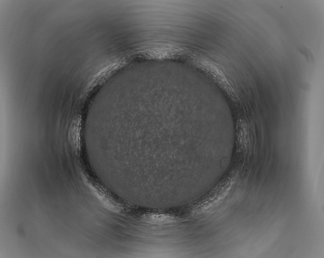 X0000111850590200908061316