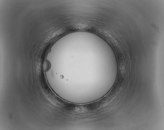 X0000111850591200908061316