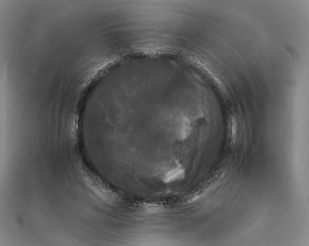 X0000111850592200908061316