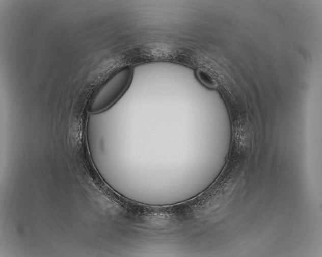 X0000111850593200908061316