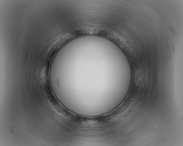 X0000111850594200908061316