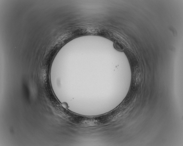 X0000111850595200908061316