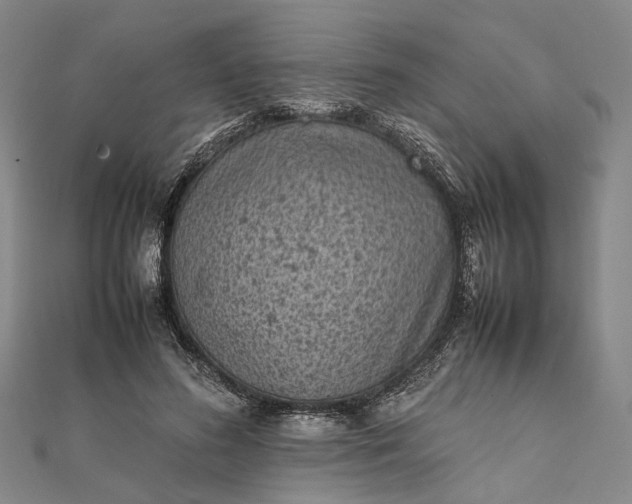 X0000111850596200908061316