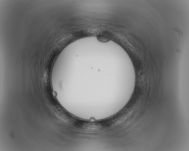 X0000111850597200908061316