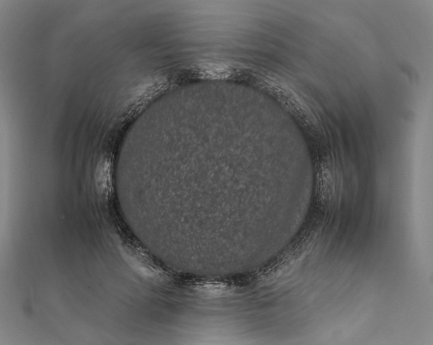 X0000111850598200908061316