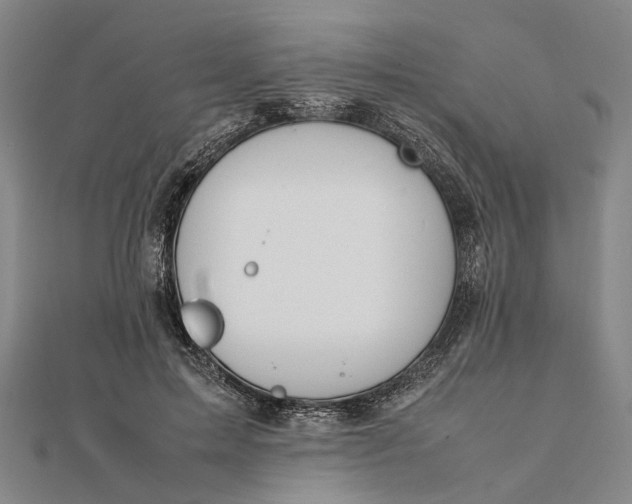 X0000111850599200908061316