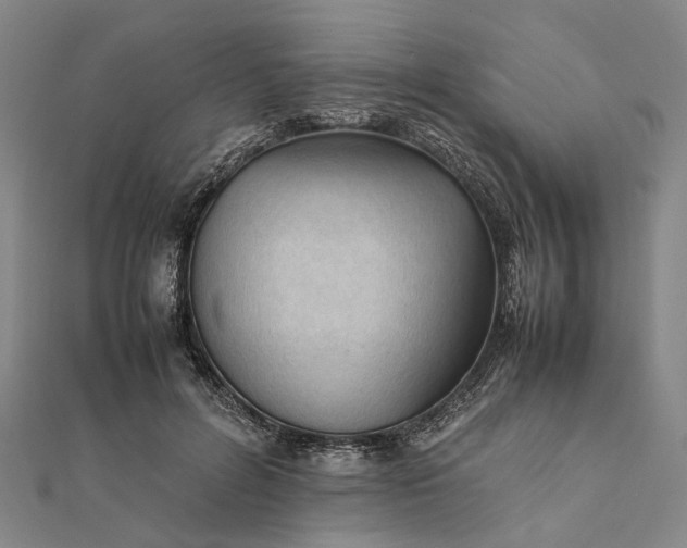 X0000111850600200908061316