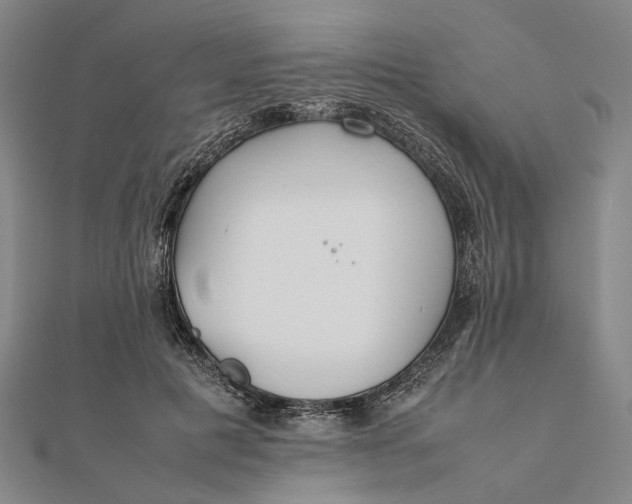 X0000111850601200908061316