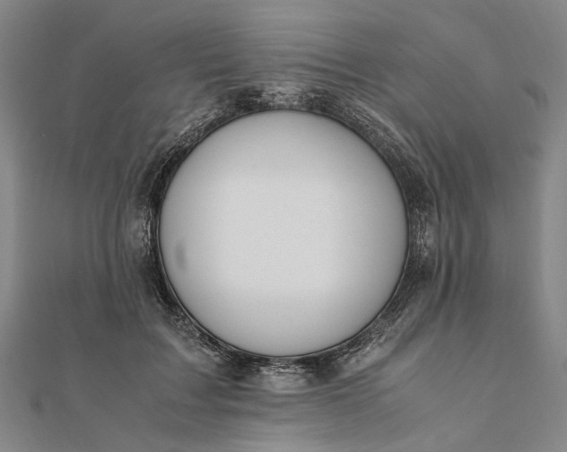 X0000111850603200908061316