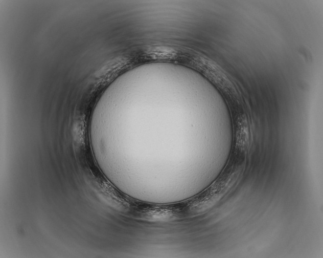 X0000111850604200908061316