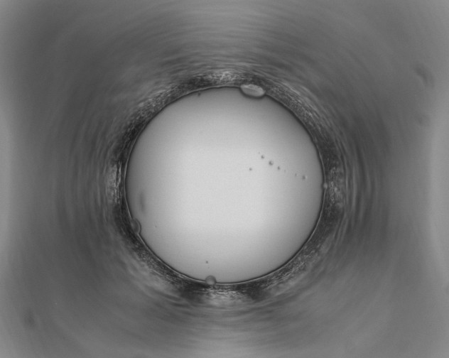 X0000111850605200908061316