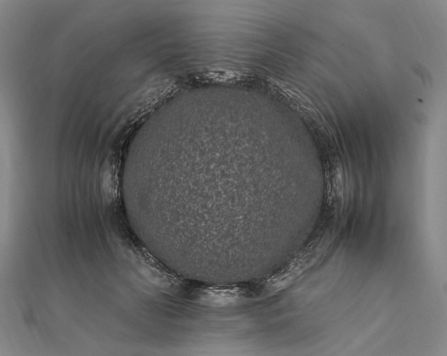 X0000111850606200908061316