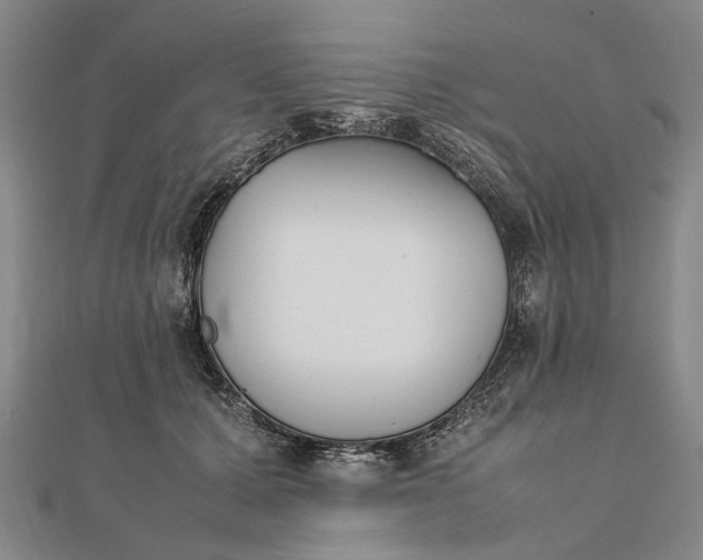 X0000111850607200908061316